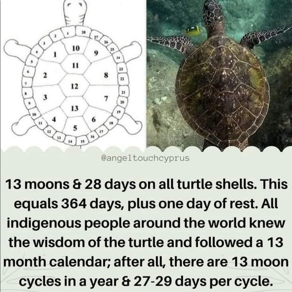 12” Steel tongue drum - Picture 7 of 7